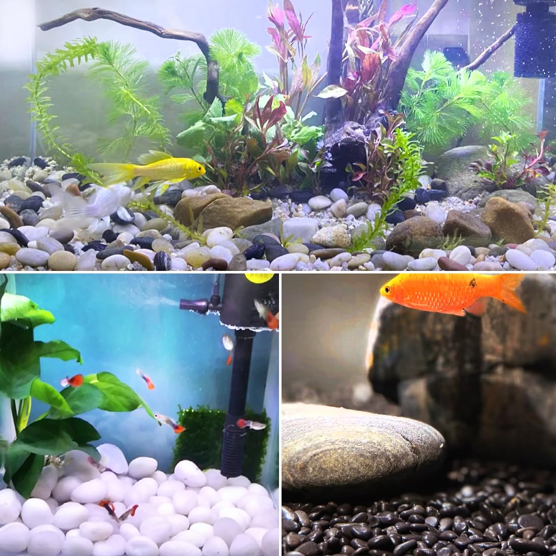 40lbs Black Rocks for Landscaping, 2-3 Inch High Polished Pebbles Natural Large River Rocks for Plants, Decorative Stones Garden Outdoor and Indoor DIY Vase Filler Fish Tank Aquariums