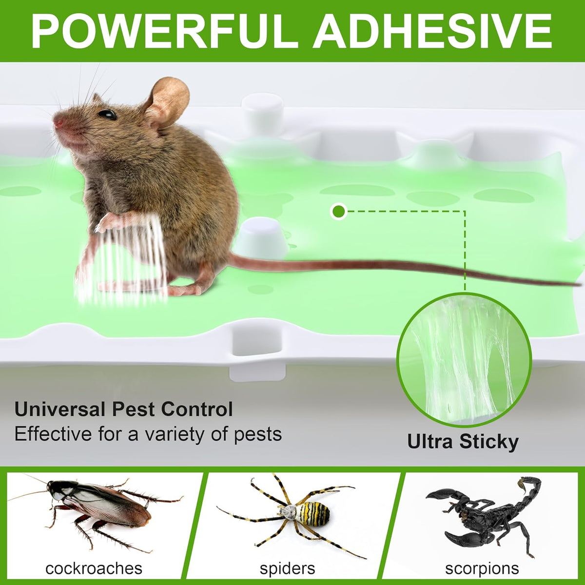Qualirey 6 Pack Mouse Glue Trap, Super Sticky Traps Mouse Size for Mice and Rats, Pre-Scented, Non Toxic Mice Glue Boards, Rodent Sticky Pads Indoor for Home, Easy to Use, Pet Safe Pest Control