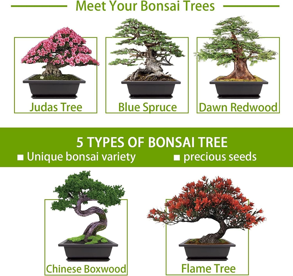 Bonsai Tree Kit with Complete Plant Growing Tools, Grow in Pot Indoor Bonsai Tree Starter Kit, Home Gardening DIY Gift for Adult