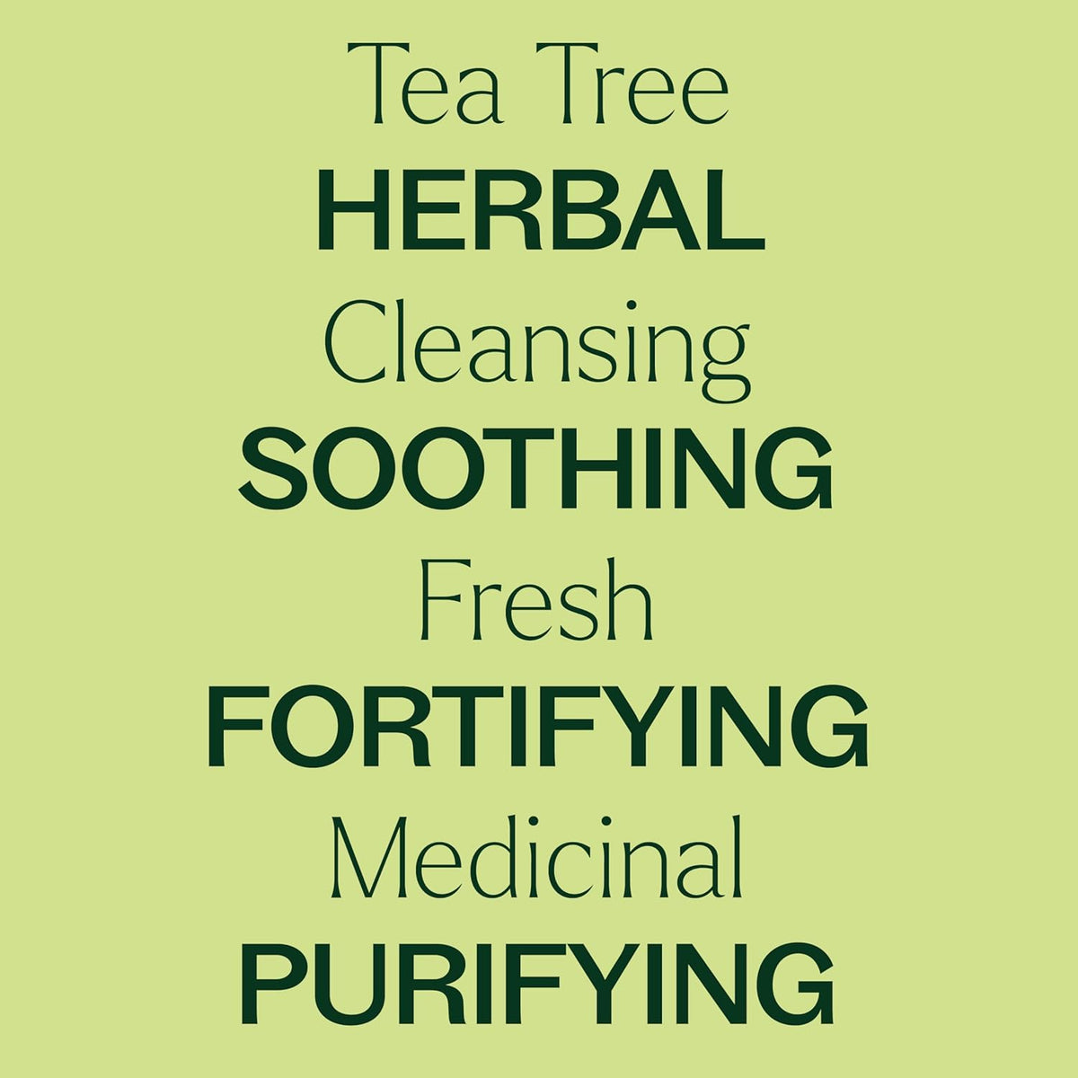 Plant Therapy Organic Tea Tree Oil (Melaleuca) 100% Pure, USDA Certified Organic, Undiluted, Natural Aromatherapy for Skin, Hair, and Toenails, Therapeutic Grade 10 mL (1/3 oz)