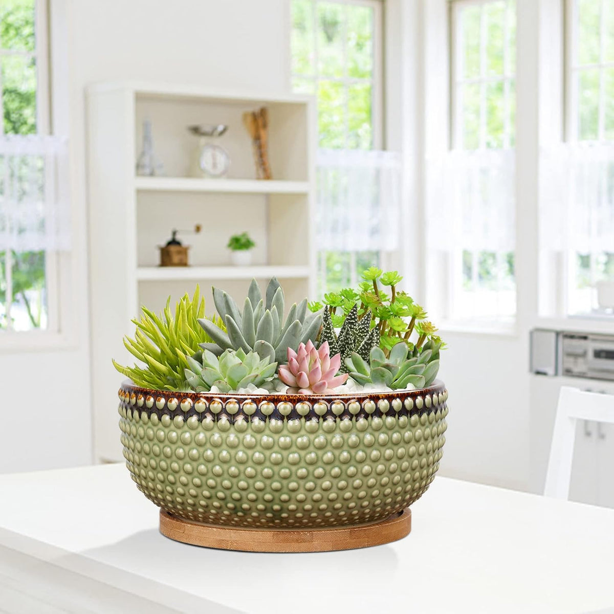 8 Inch Ceramic Succulent Shallow Planter Pot with Drainage Hole and Saucer Beaded Stoneware Planter for Indoor Plants Green