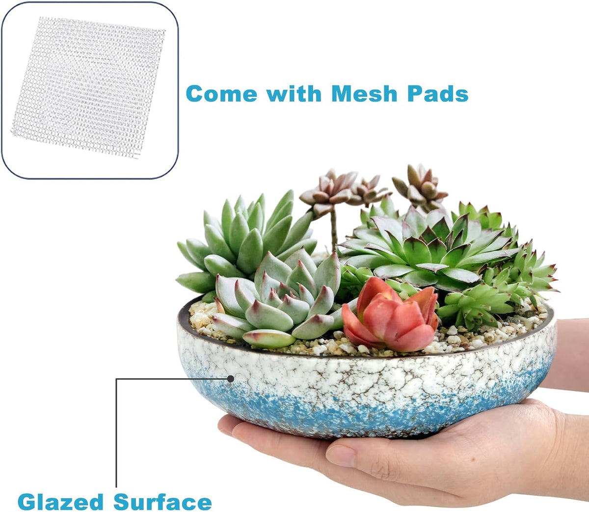 kilolfy Happy Bonsai Pot 8.5 inch Glazed Ceramic Succulent Planter Container Blue