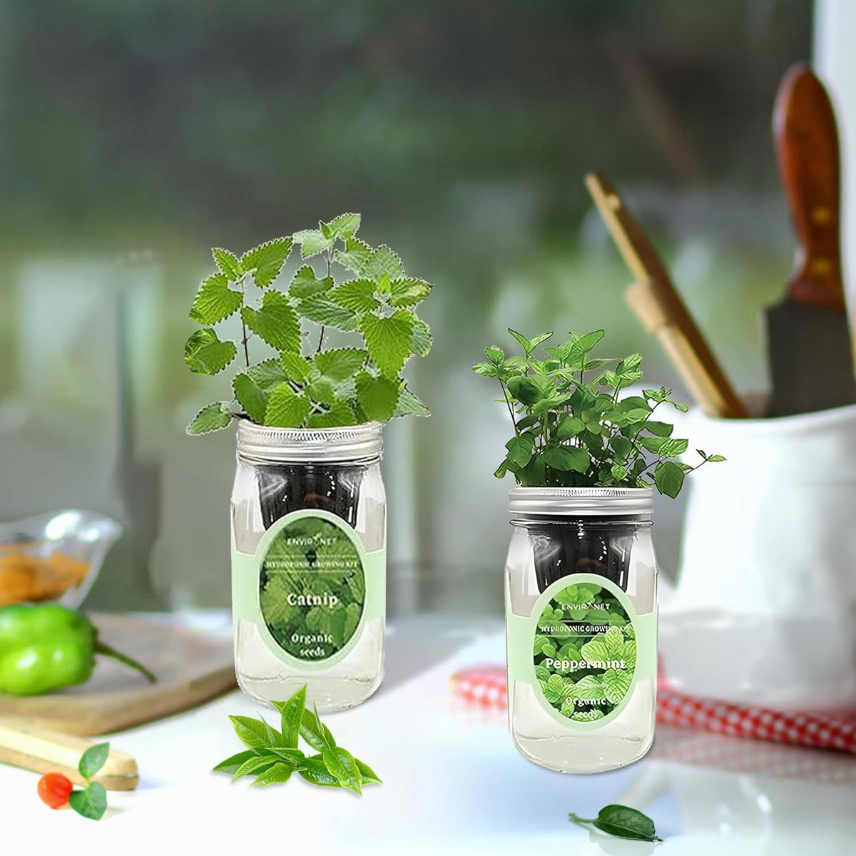2-Pack Hydroponic Mason Jar Herb Garden Kit, Indoor Herb Garden Self-Watering Starter Kit (Catnip,Peppermint)