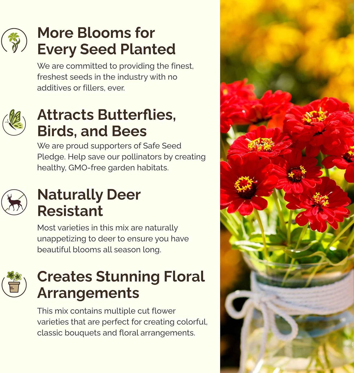 Eden Brothers Cupid's Flower Seed Mixed Seeds for Planting, 1 oz, 4,800,000+ Seeds with Malop Vulcan, Zinnia | Attracts Pollinators, Plant in Spring, Zones 2, 3, 4, 5, 6, 7, 8, 9, 10