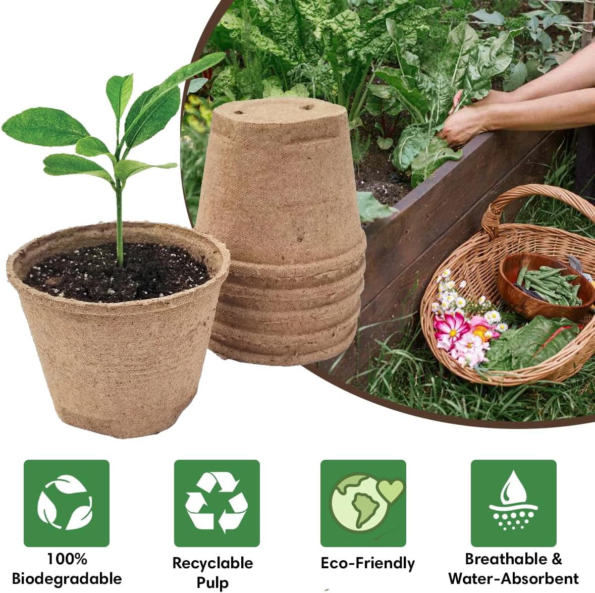 Seedling Starter Kit Germination Grow Cups and Soil (10 Pack) Biodegradable Peat Pots, Coco Coir Soil Discs, Plant Markers - Organic Grow Kit for Seed Germination, Indoor/Outdoor (1)