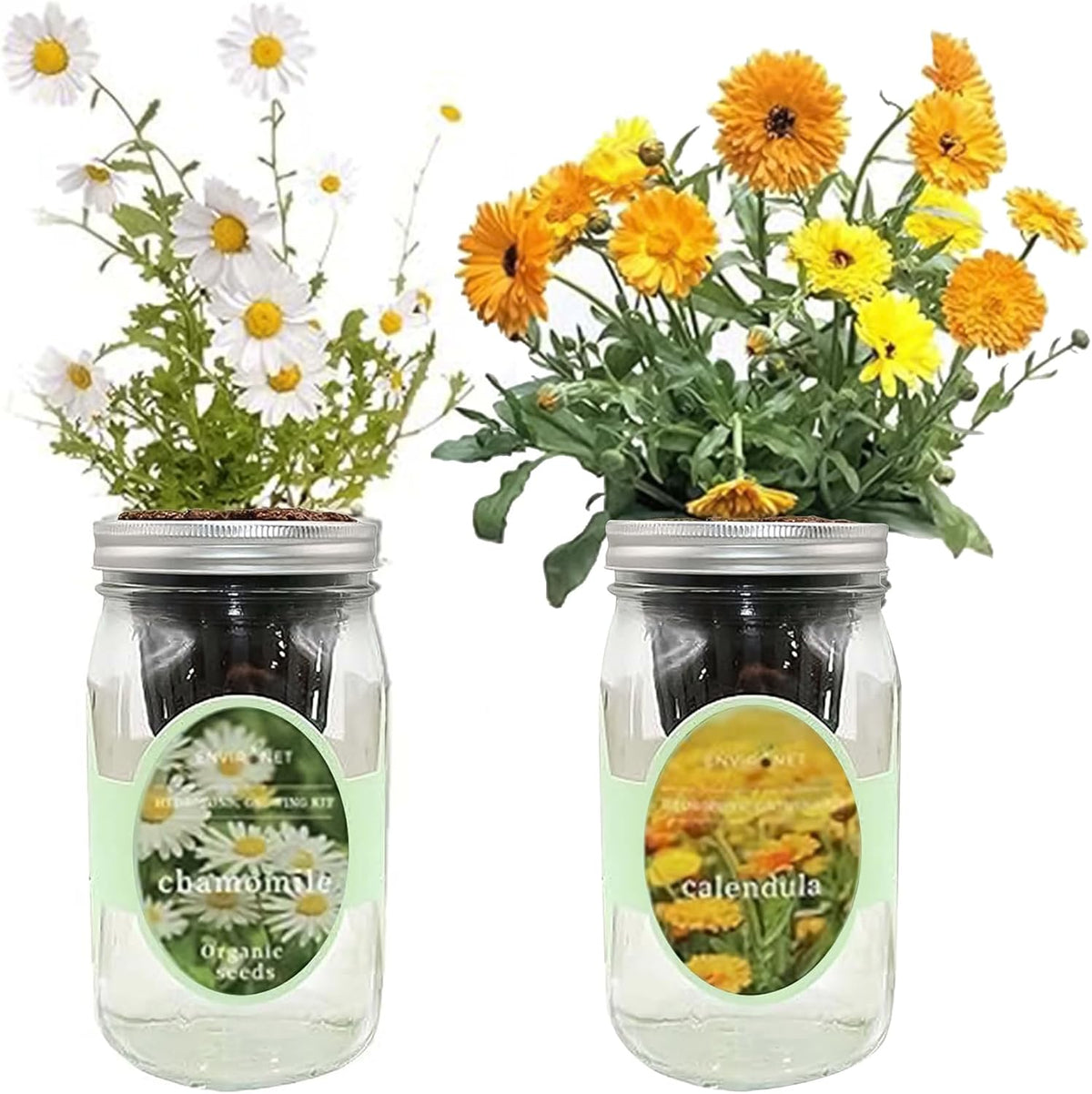 2-Pack Hydroponic Mason Jar Herb Garden Kit, Indoor Herb Garden Self-Watering Starter Kit (Calendula,Chamomile)