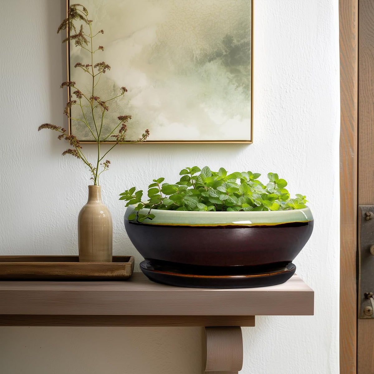 SQOWL Succulent Planters 10 Inch - Ceramic Bonsai Pots with Drainage Hole and Saucer, Shallow Indoor Planter, Round Succulent Pot, Bowl Planter Outdoor, Porch Decor, Gift for Plant Lover, Green-Brown