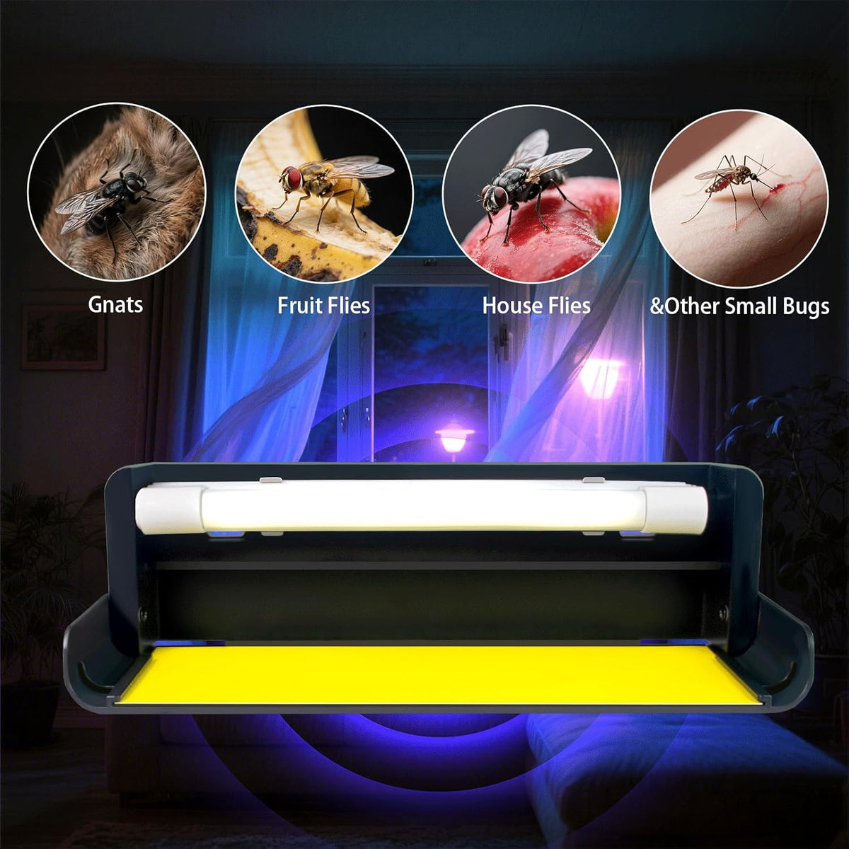 10 Refills UV Fly Light Trap Indoor for Home Gnat Traps for House, Wall Sconce Fly Light Bug Catcher for Kitchen House & Restaurant Fruit Flies Garage & Warehouse