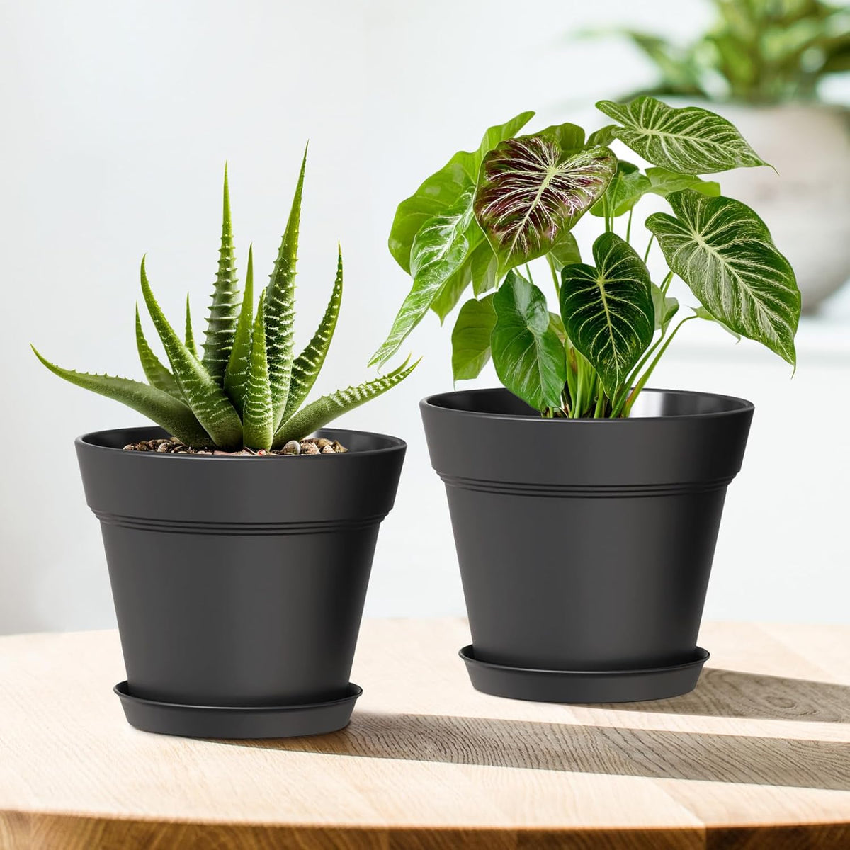 4 Inch Plastic Plant Pots with Drainage Holes and Trays – 8 Pack Small Nursery Pots for Indoor & Outdoor House Plants and Flowers, Seedling Starter Planters, Matte Black