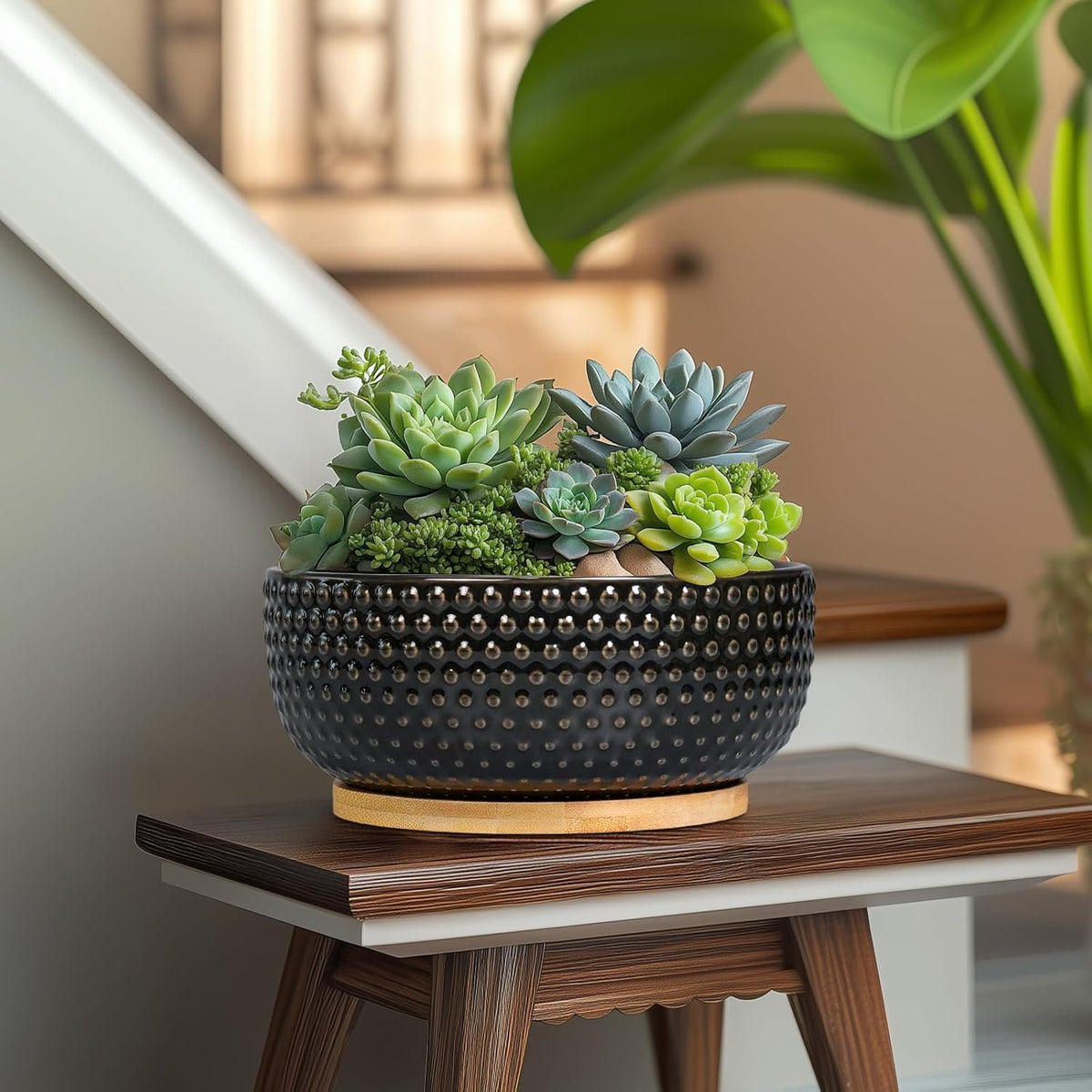 Bonsai Tree Pot - 8 Inch Ceramic Succulent Planters with Drainage and Plant Tray, Boho Round Shallow Bowl for Indoor Plants, Office Decor, Housewarming Gift, Black