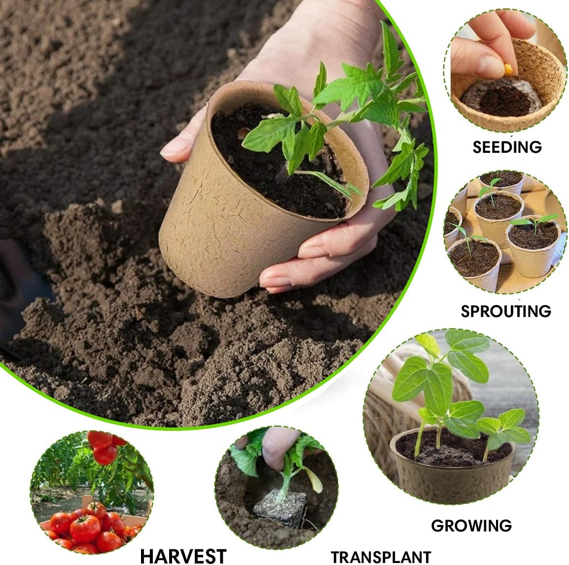 Seedling Starter Kit Germination Grow Cups and Soil (10 Pack) Biodegradable Peat Pots, Coco Coir Soil Discs, Plant Markers - Organic Grow Kit for Seed Germination, Indoor/Outdoor (2)