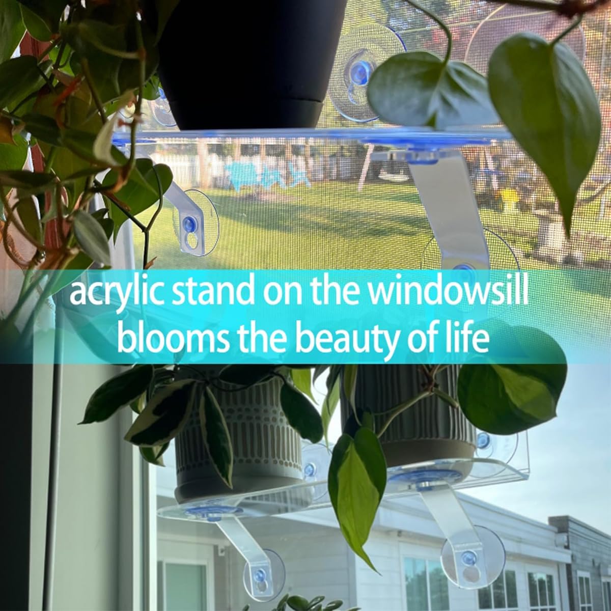 12-Inch Window Boxes Sill Planter Suction Cup Holder, 5-Inch Extra Wide Window Sill Extender, with Load Bearing Bracket for Herbs, Succulents, Clear Acrylic Indoor Plant Stand