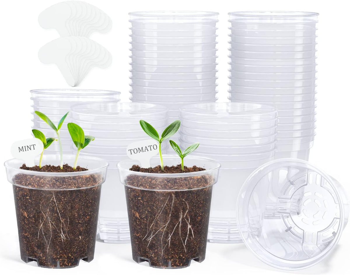 homenote Clear Nursery Pots for Plants,3 Inch Plant Pot for Planting Plastic Seedling with Drainage Holes Seed Starter Flower High Transparency with 20 Labels (60 Pack)