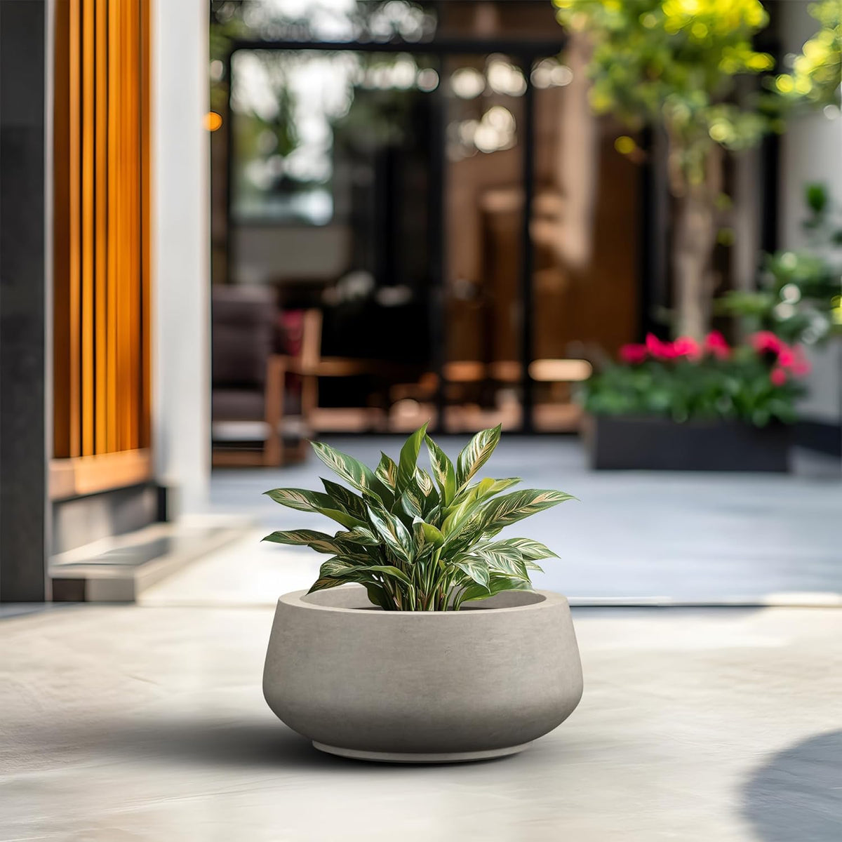 Kante 16.9" Dia Round Concrete Bonsai Planters, Outdoor Indoor Garden Plant Pot with Drainage Hole for Home, Patio, Garden, Weathered Concrete