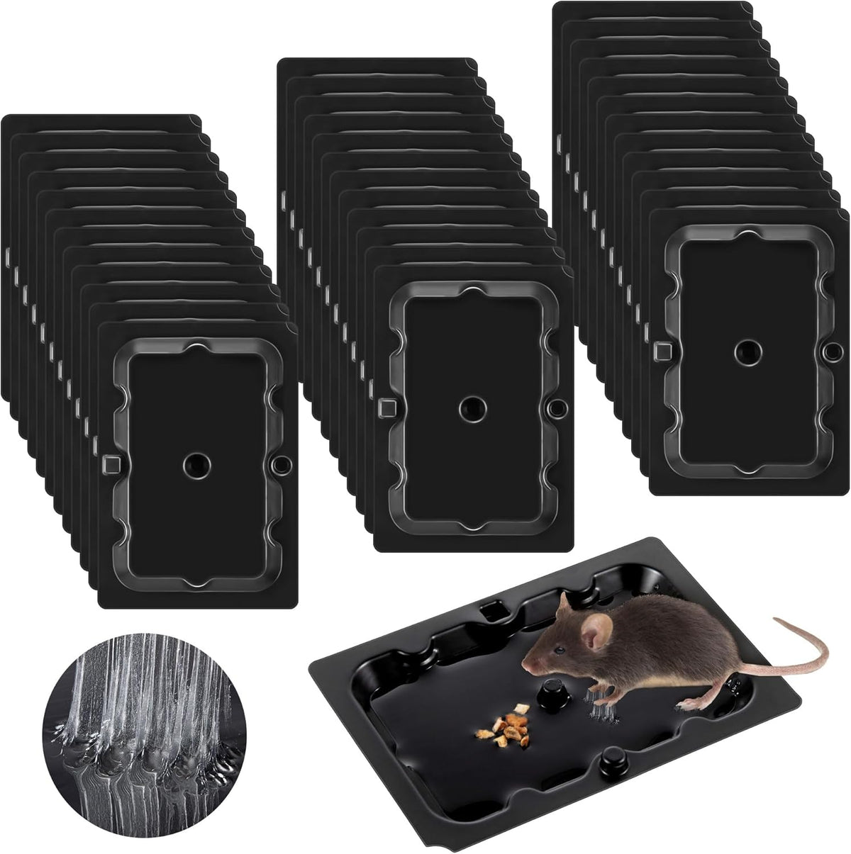 Qualirey 36 Pack Mouse and Insect Glue Traps, Strong Sticky Mice Traps Indoor for Home, Pre Scented Rodent Pads with Non Toxic Glue for House Garage, Ready to Use, Safe to Children and Pets (Black)