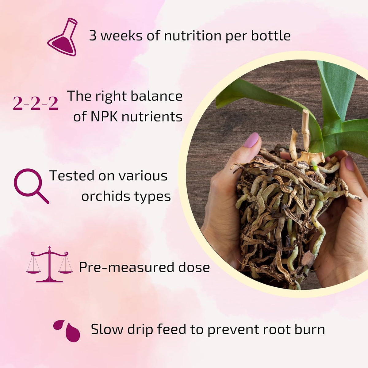 Liquid Orchid Fertilizer Spikes | Ready-to-Use Orchid Food Spikes & Orchid Plant Food for Blooming, Fertilizer for Orchids (8 Drip Feeders)