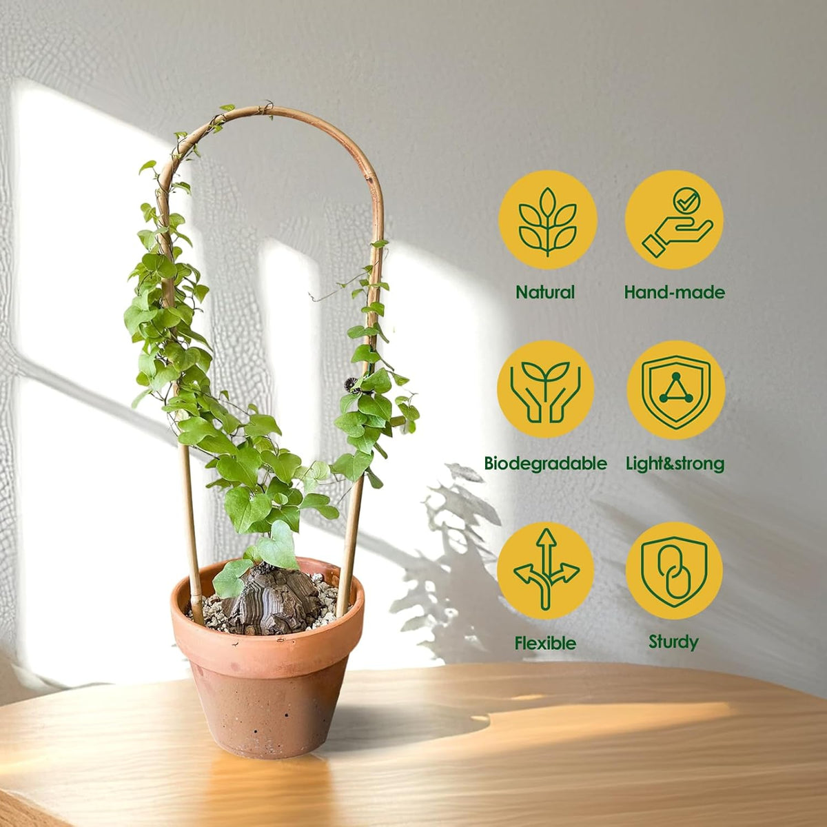 Indoor Plant Trellis for Climbing Plants 16in, 6 Pack Arch Bamboo Trellis for Potted Plants