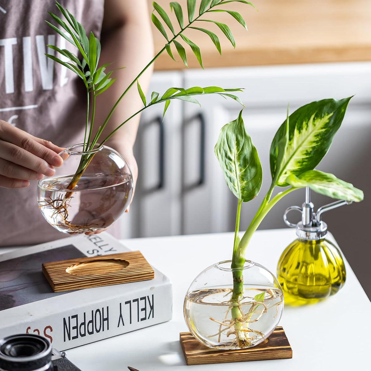 Glass Planter Propagation Station with Wooden Base - Clear Oblate Hydroponic Vase, Decorative Desktop Flower Vase for Home, Office, Windowsill - Gift for Plant Lovers (4)