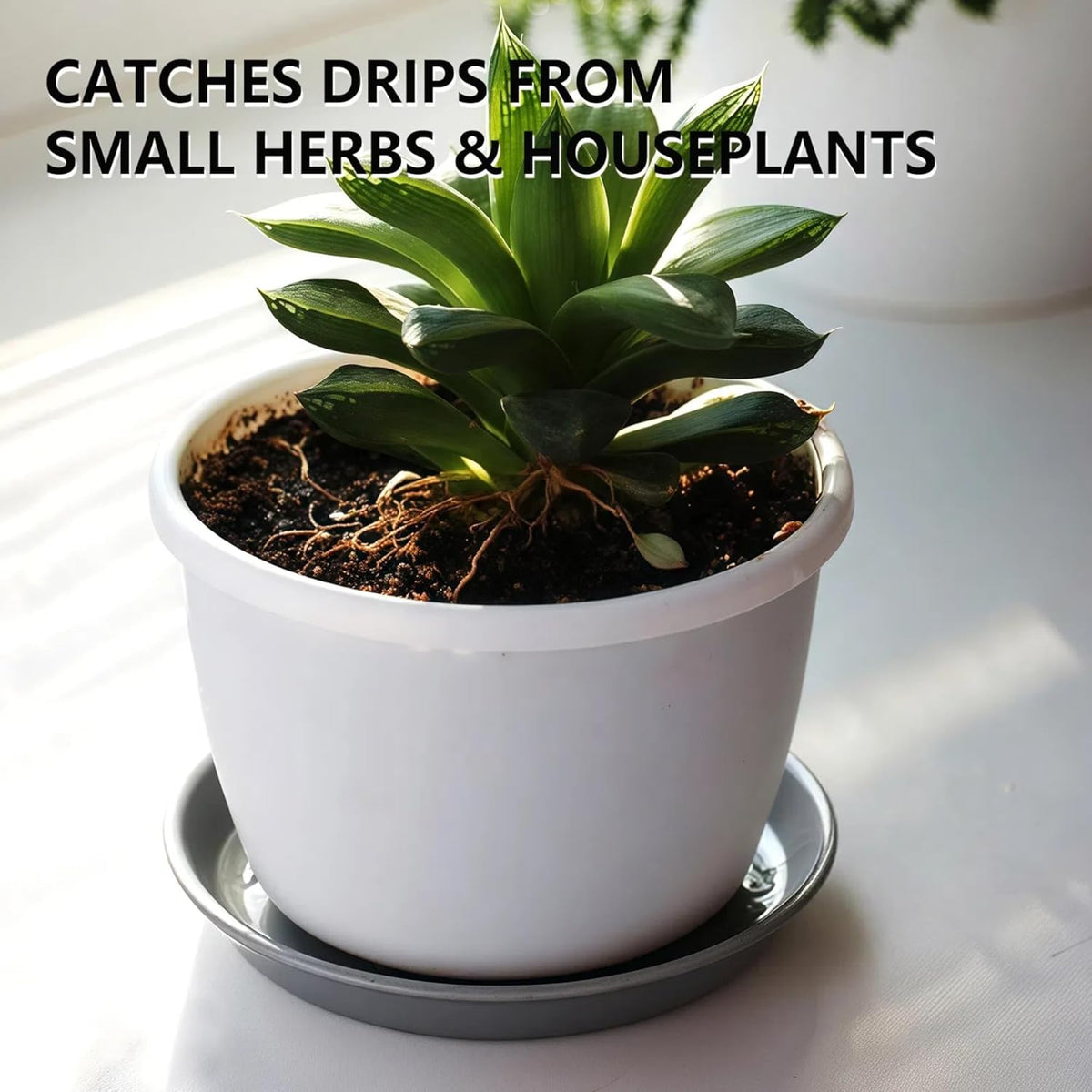 6 Pack 8-Inch Gray Plant Saucer Trays, Durable PP Plastic Pot Bases for Small Medium Planters, Modern Round Flower Pot Water Catcher Plates & Drip Trays for Indoor Plant Care