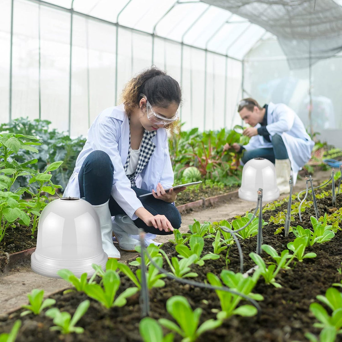 20 Pack Garden Cloche Plant Dome 10.2 D x 8.3 H Plant Cover Plastic Humidity Dome Reusable Plant Protector Mini Greenhouse Dome Plastic Plant Bell Cover with Ground Securing Pegs for Outdoors Plants