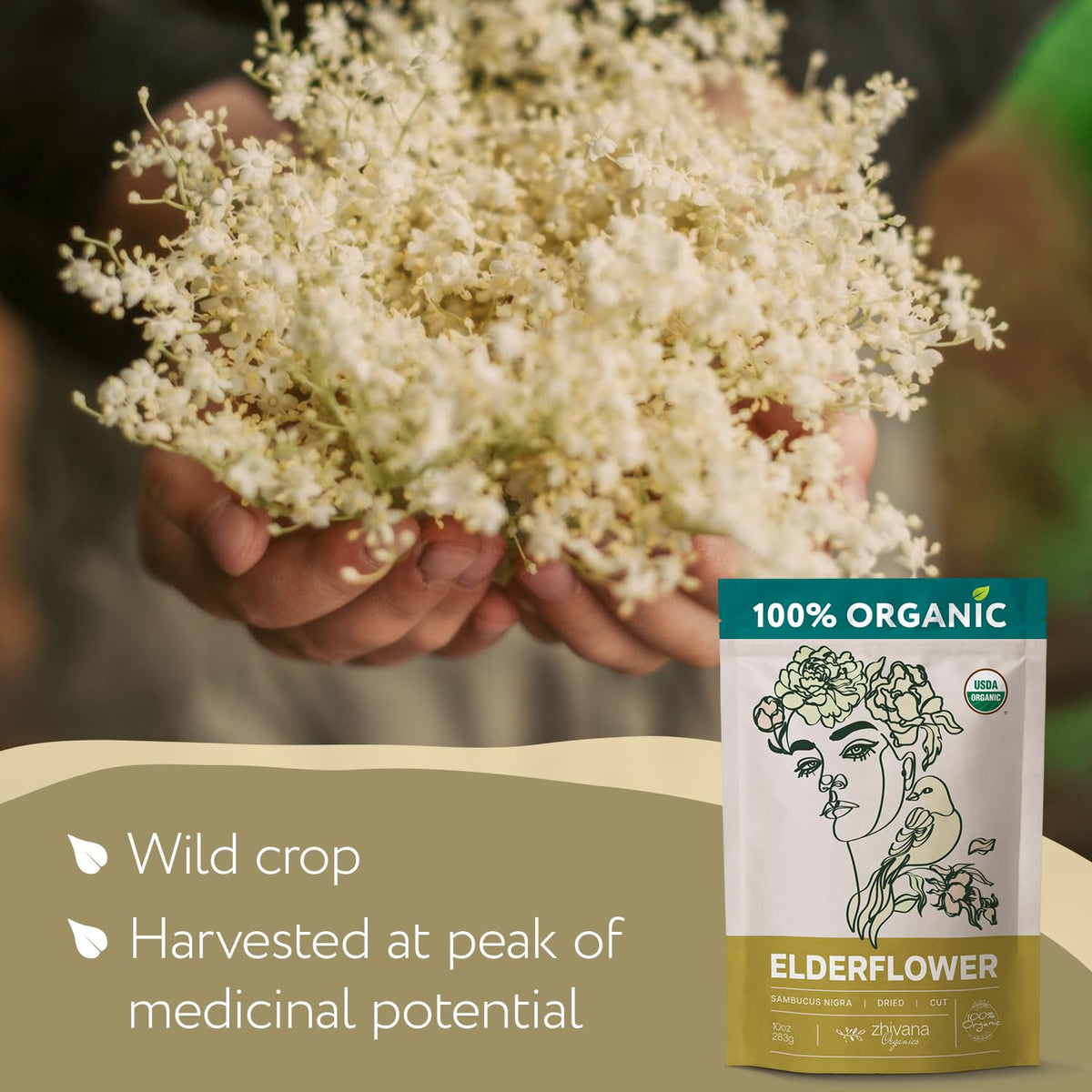Elderflower Tea (10oz.) - Organic Dried Elderflowers - Elder Flowers Dried Herbs, Te de Sauco, Flor De Sauco Organico - Respiratory Tea - Great for Allergy