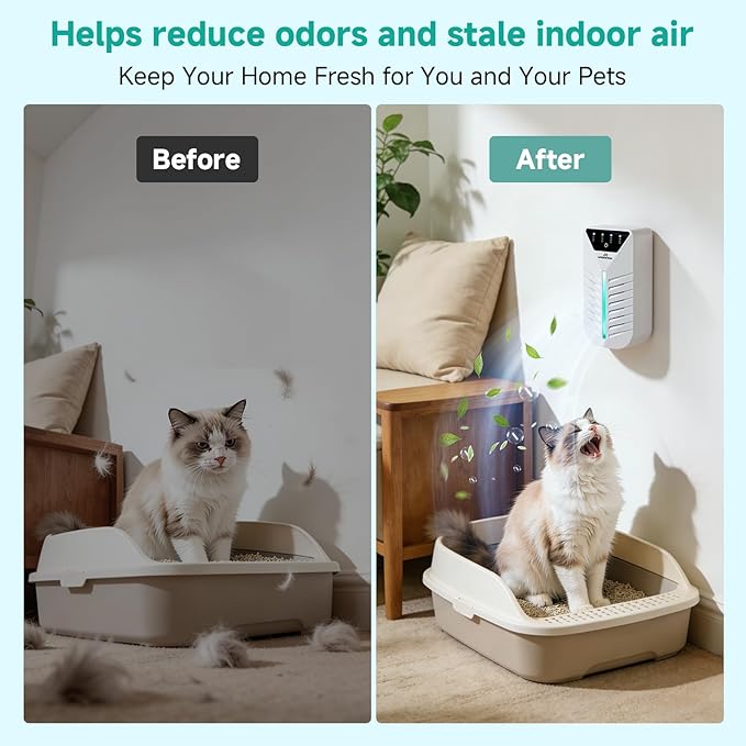Air Ionizers for Home with Activated Charcoal, Cat Litter Deodorizer, HEPA Plug In Negative Ion Generator for Small Spaces, Bathroom, Office & Kitchen, Pet Odor Eliminator for Smoke, Dust