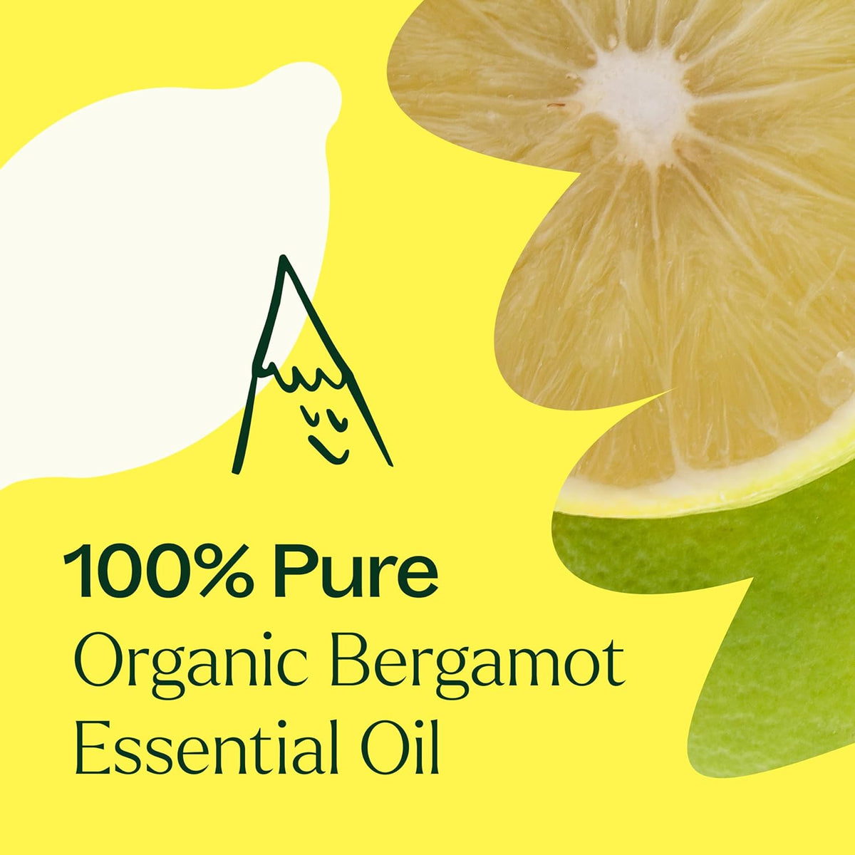Plant Therapy Organic Bergamot Essential Oil 10 mL (1/3 oz) 100% Pure, Undiluted, Therapeutic Grade