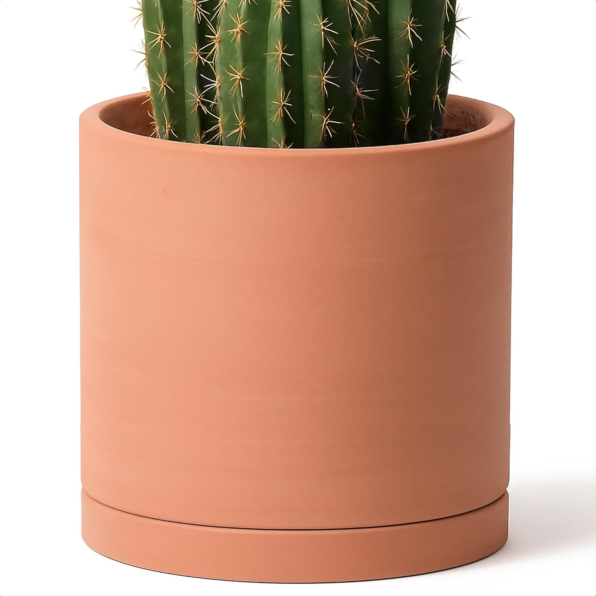 D'vine Dev X-Large 12 Inch Terracotta Plant Pot with Drainage Hole and Saucer, Round Cylinder Planter Pot for Indoor Plants, 40-X-A-6