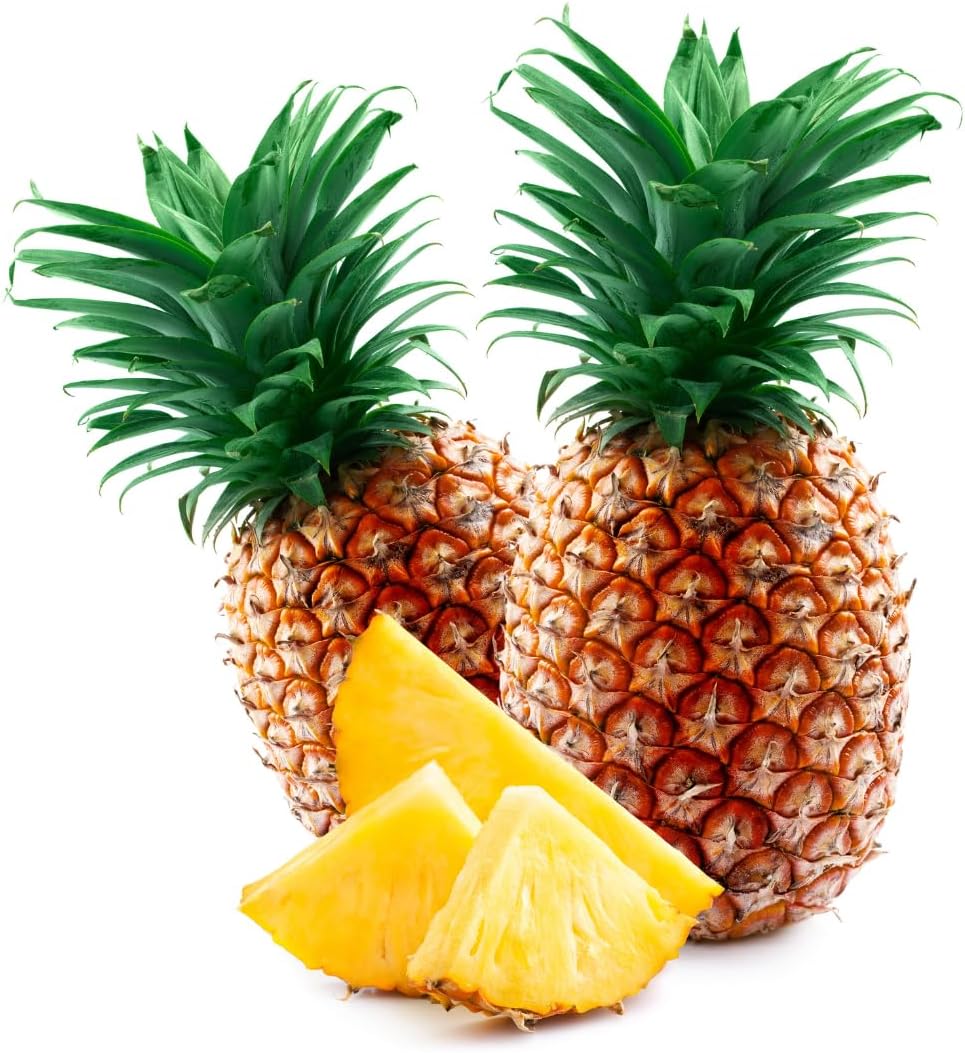 2 Elite Gold Pineapple Plants Live Bushes Shrubs Trees for Planting Outdoor, Fragrant and Sweet Pineapple, Tropical Fruit, 5 to 7 Inces Tall, No Pot