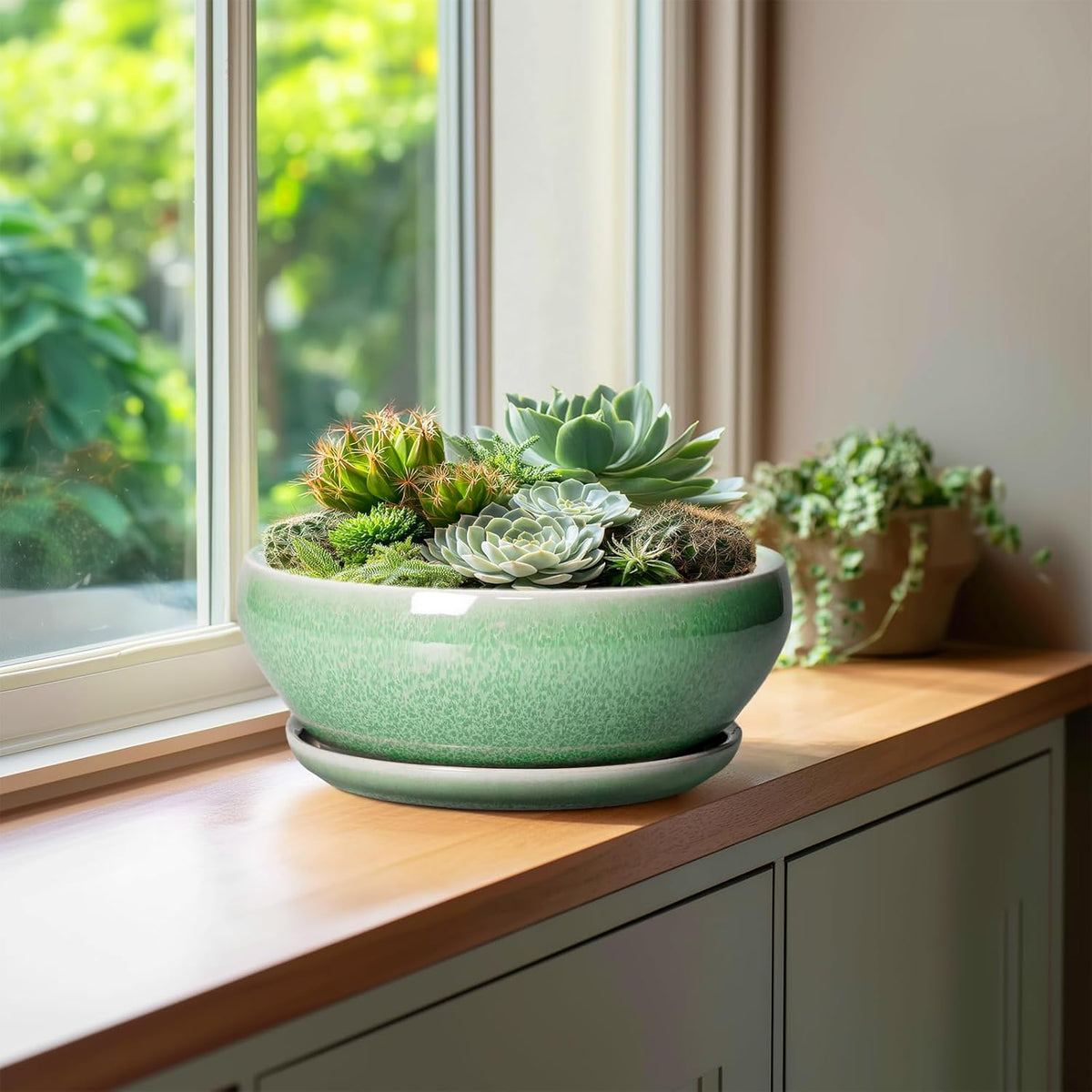 SQOWL Bonsai Pots - 10 Inch Ceramic Succulent Pots with Drainage Hole and Saucer, Shallow Planter for Indoor Plants Flowers, Round Planter Bowl, Living Room Decor, Plant Lover Gifts, Green