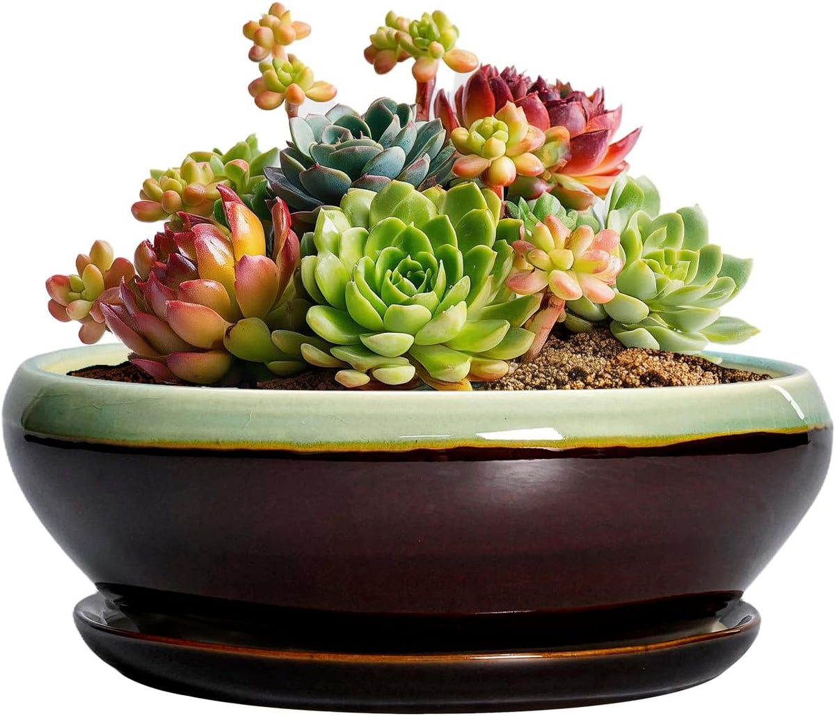 SQOWL Succulent Pots 6 Inch - Shallow Ceramic Planter, Bonsai Pot with Drainage Hole and Saucer, Round Ceramic Succulent Planter for Indoor Outdoor Plant, Kitchen Decor, Plant Lover Gift, Green-Brown