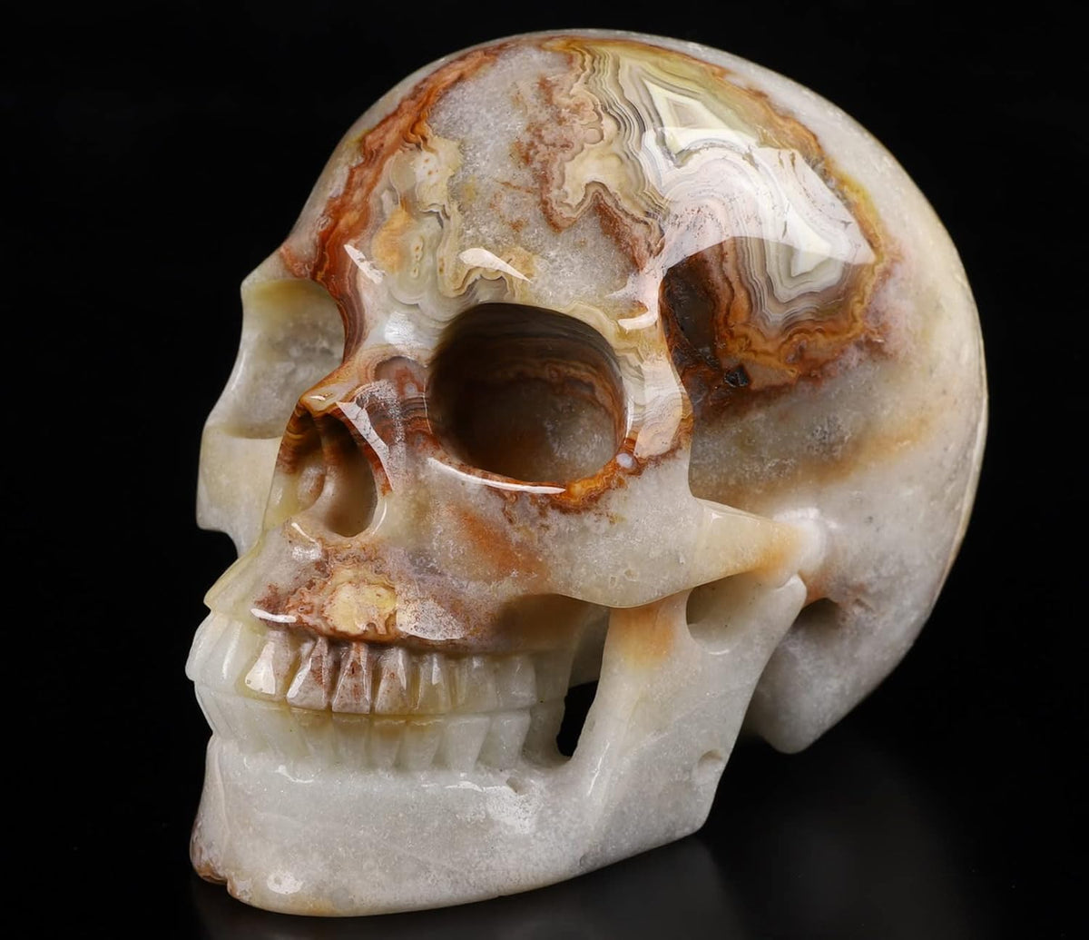 Skullis 5.0" Red Crazy Lace Agate Crystal Skull, Hand Carved Gemstone Fine Art Sculpture, Reiki Healing Stone Statue.397 Z8