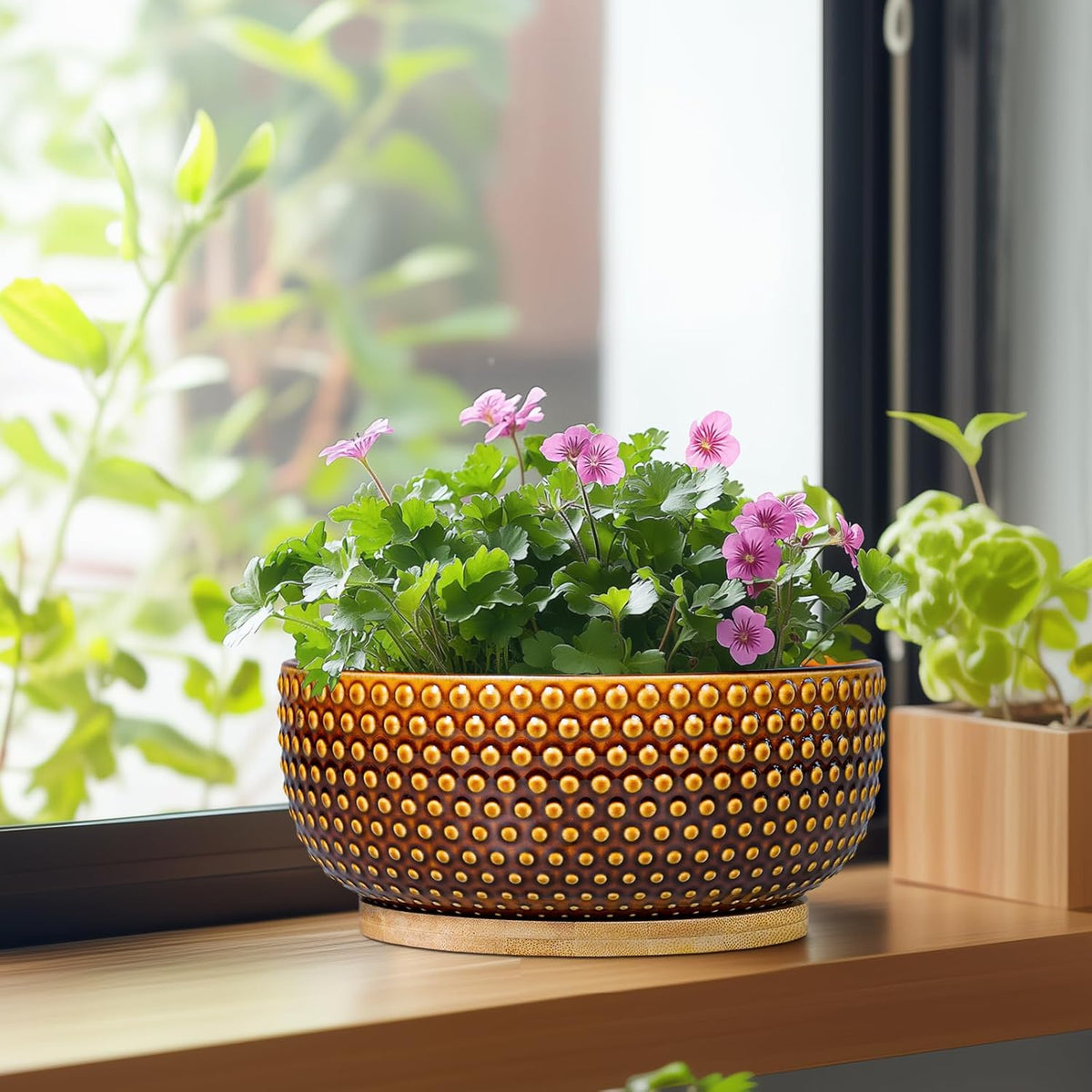 Bonsai Pots - 8 Inch Succulent Bowl for Indoor Plant, Shallow Round Ceramic Planters with Drainage Hole and Saucer, Boho Home Room Office Apartment Decor, Plant Lovers Gifts, Brown