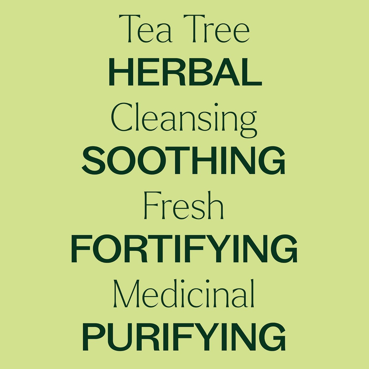Plant Therapy Organic Tea Tree Oil (Melaleuca) 100% Pure, USDA Certified Organic, Undiluted, Natural Aromatherapy, Therapeutic Grade 100 mL (3.3 oz)