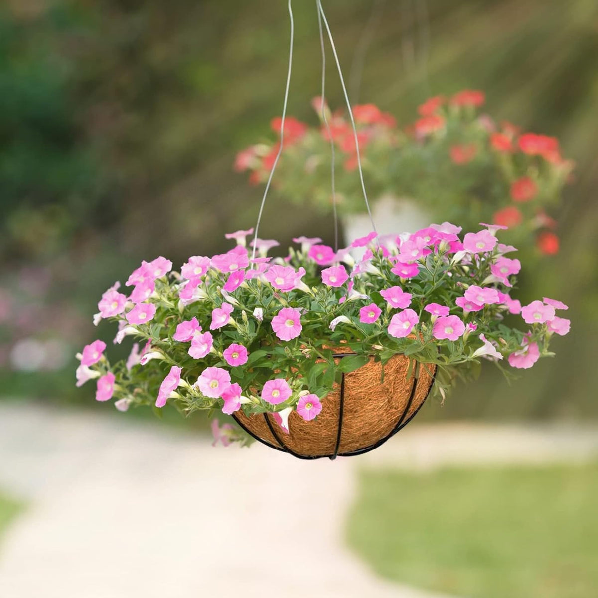 Halatool 4 PCS 14 Inch Coconut Liners for Planters Round Hanging Basket Liners 100% Natural Replacement Coconut Fiber Liner for Garden Flower Pot Vegetables Herbs