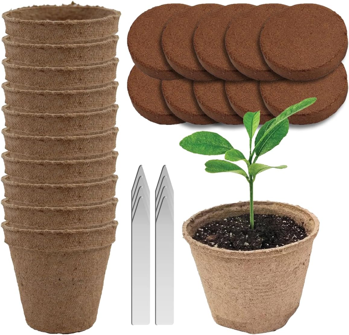 Seedling Starter Kit Germination Grow Cups and Soil (10 Pack) Biodegradable Peat Pots, Coco Coir Soil Discs, Plant Markers - Organic Grow Kit for Seed Germination, Indoor/Outdoor (2)