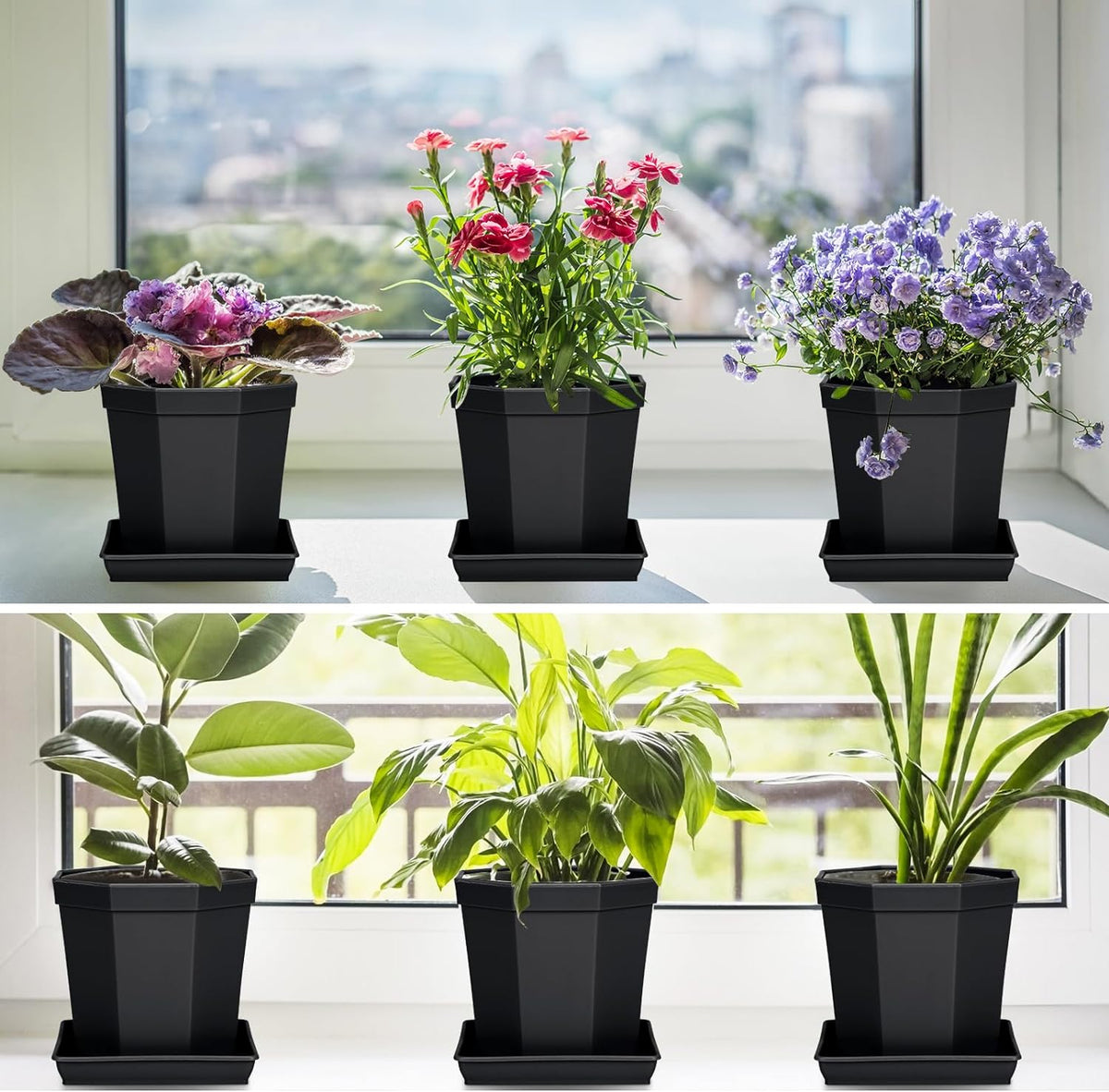 Square Plant Saucer 6inch 5 Pack, Plastic Plant Saucers, Plant Water Dray Tray, 8 10 12 14 16 18 20 Inch Garden Planters for for Pots Base Indoors and Outdoors Plants（6 inch Black）