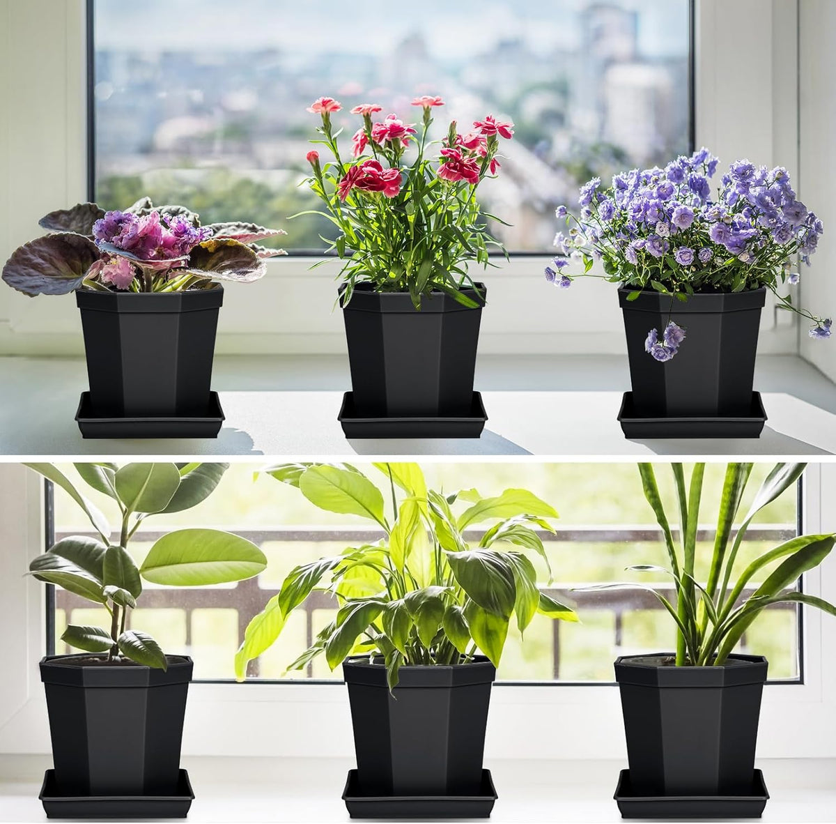 Square Plant Saucer 8 Inch 5 Pack, Heavy Plastic Plant Trays for Pots Pots Base Plant Saucers for Indoors and Outdoors, Pot Saucers for Plants,Garden Plant Water Catcher Tray.