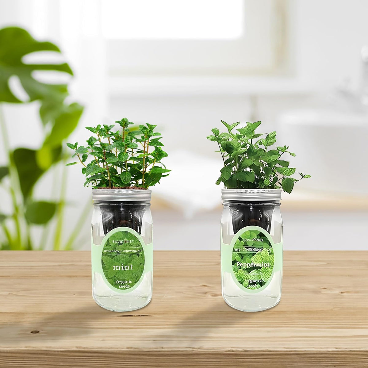 2-Pack Hydroponic Mason Jar Herb Garden Kit, Indoor Herb Garden Self-Watering Starter Kit (Mint,Peppermint)