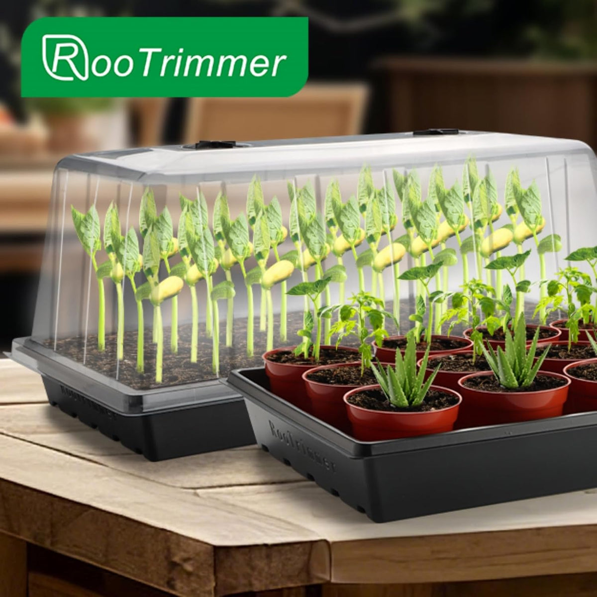 1020 Plant Tray with Tall 7.3'' Dome, 5-Pack Extra Large Seed Starter Tray with Humidity Domes, Heavy Duty 1020 Trays and Flats with Lid, Seed Germination Mini Greenhouse No Hole for Balcony Garden