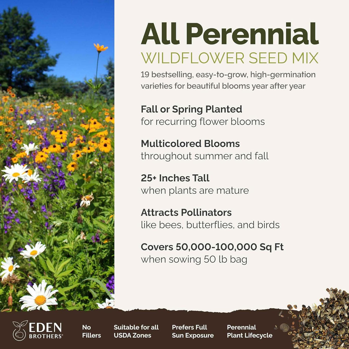 Eden Brothers All Perennial Wildflower Mixed Seeds for Planting, 50 lb, 24,000,000+ Seeds with Lupine, Shasta Daisy | Attracts Pollinators, Plant in Spring or Fall, Zones 3, 4, 5, 6, 7, 8, 9, 10
