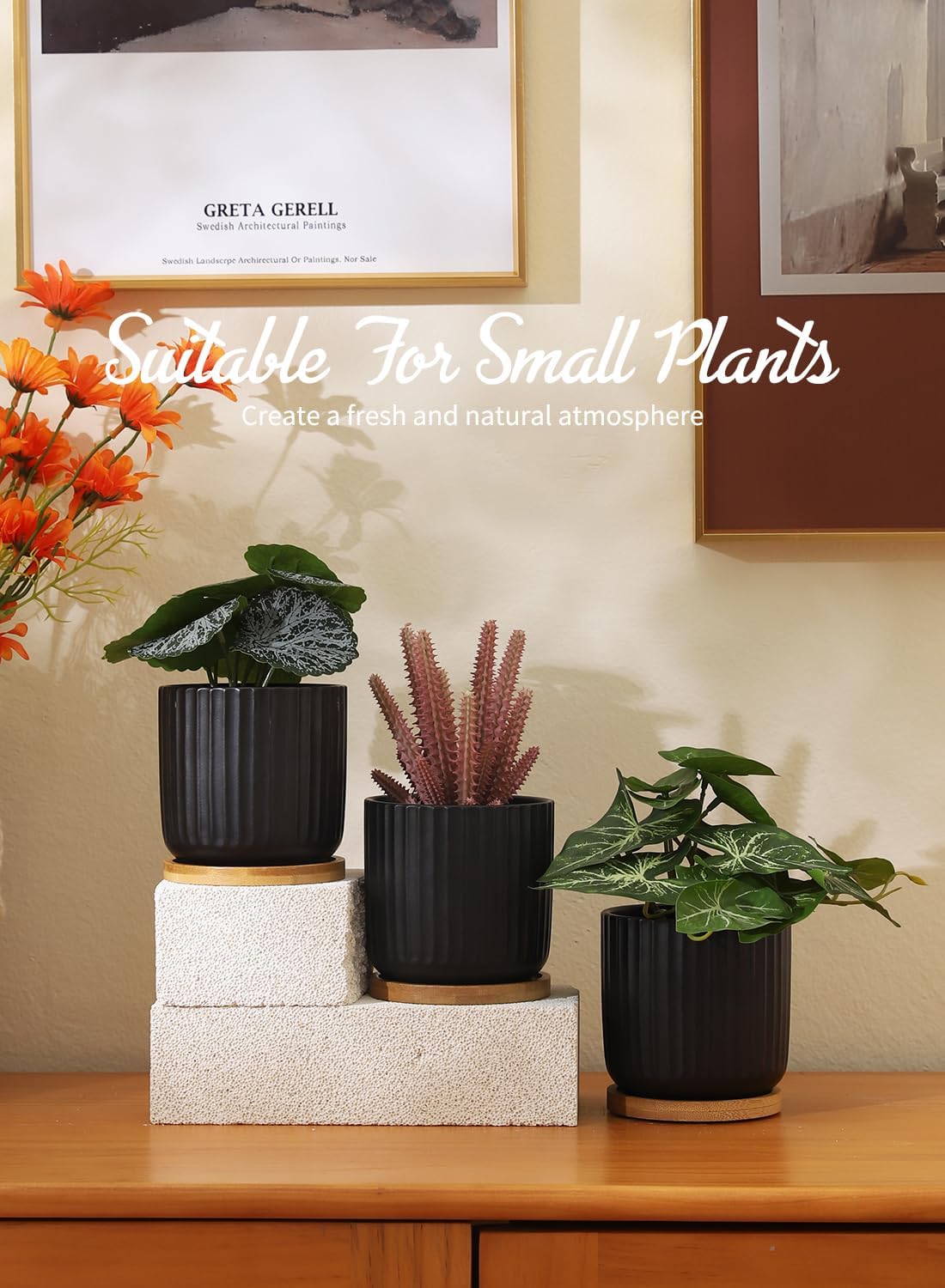 TAMAYKIM 4 Inch Small Cylinder Ceramic Plant Pots with Drainage Holes, Modern Indoor Planters with Tray for Aloe, Succulent, Snake Plants, Cactus & Herbs, Black, Set of 4
