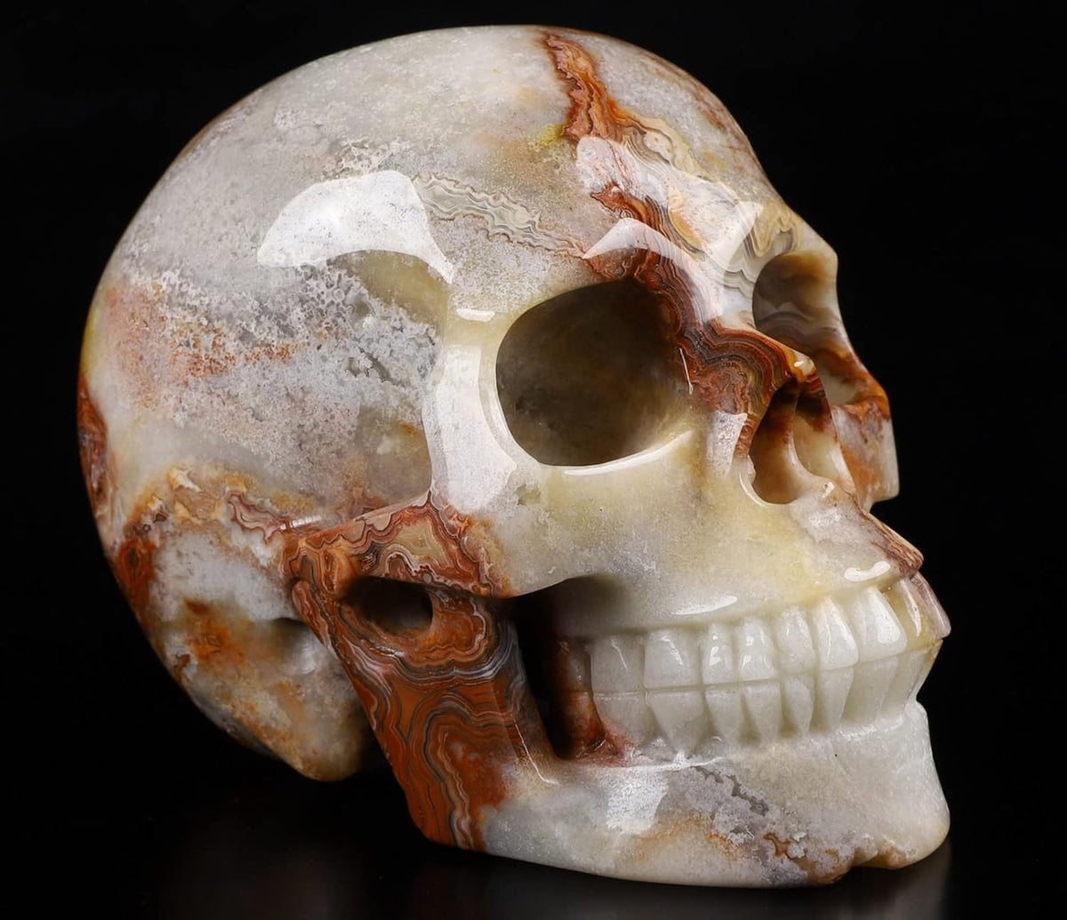 Skullis 5.0" Red Crazy Lace Agate Crystal Skull, Hand Carved Gemstone Fine Art Sculpture, Reiki Healing Stone Statue.397 Z8