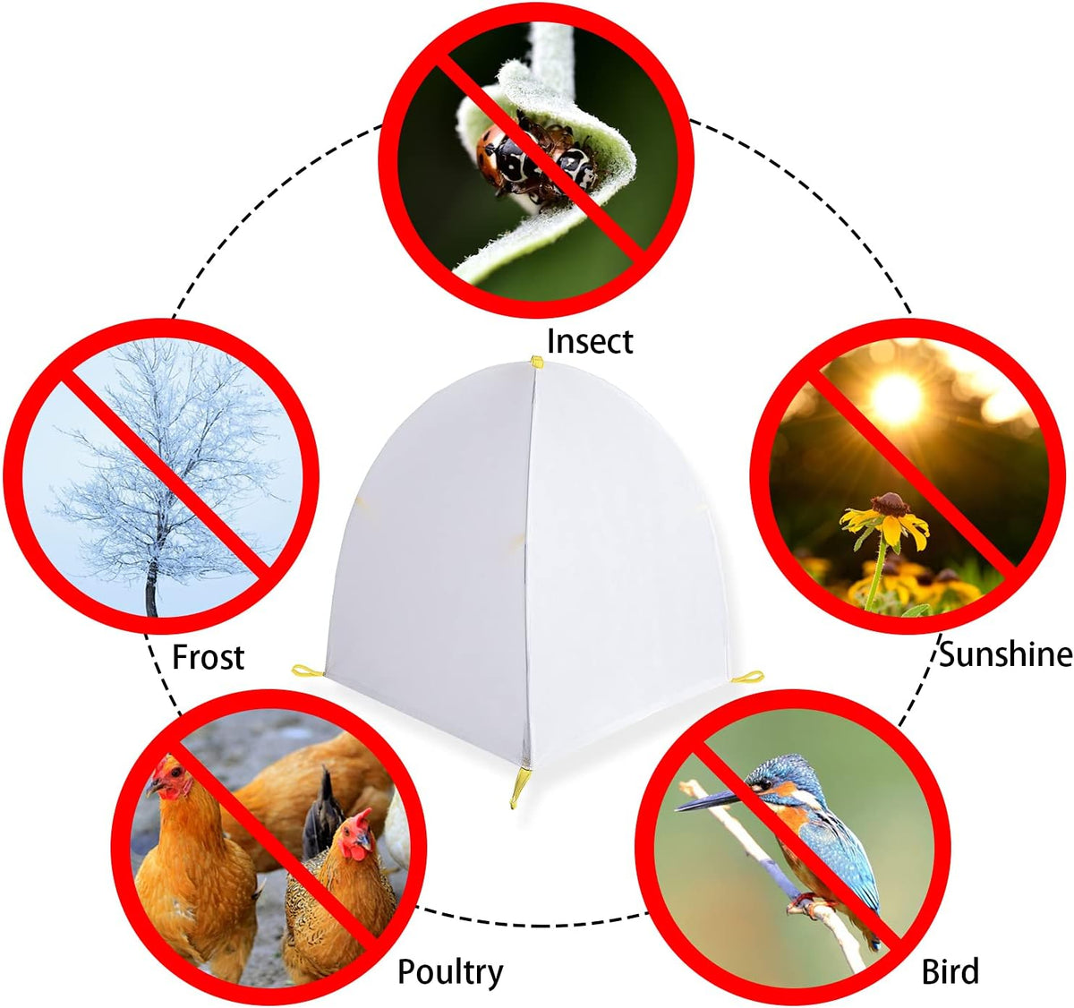 DECOHS 35 x 35 x 39 Inch Warm Plant Protection Tent-Winter Shrub Covers-Winter Snow & Frost Covers Protecting Fruit Tree Potted Plants from Freezing Animals Eating