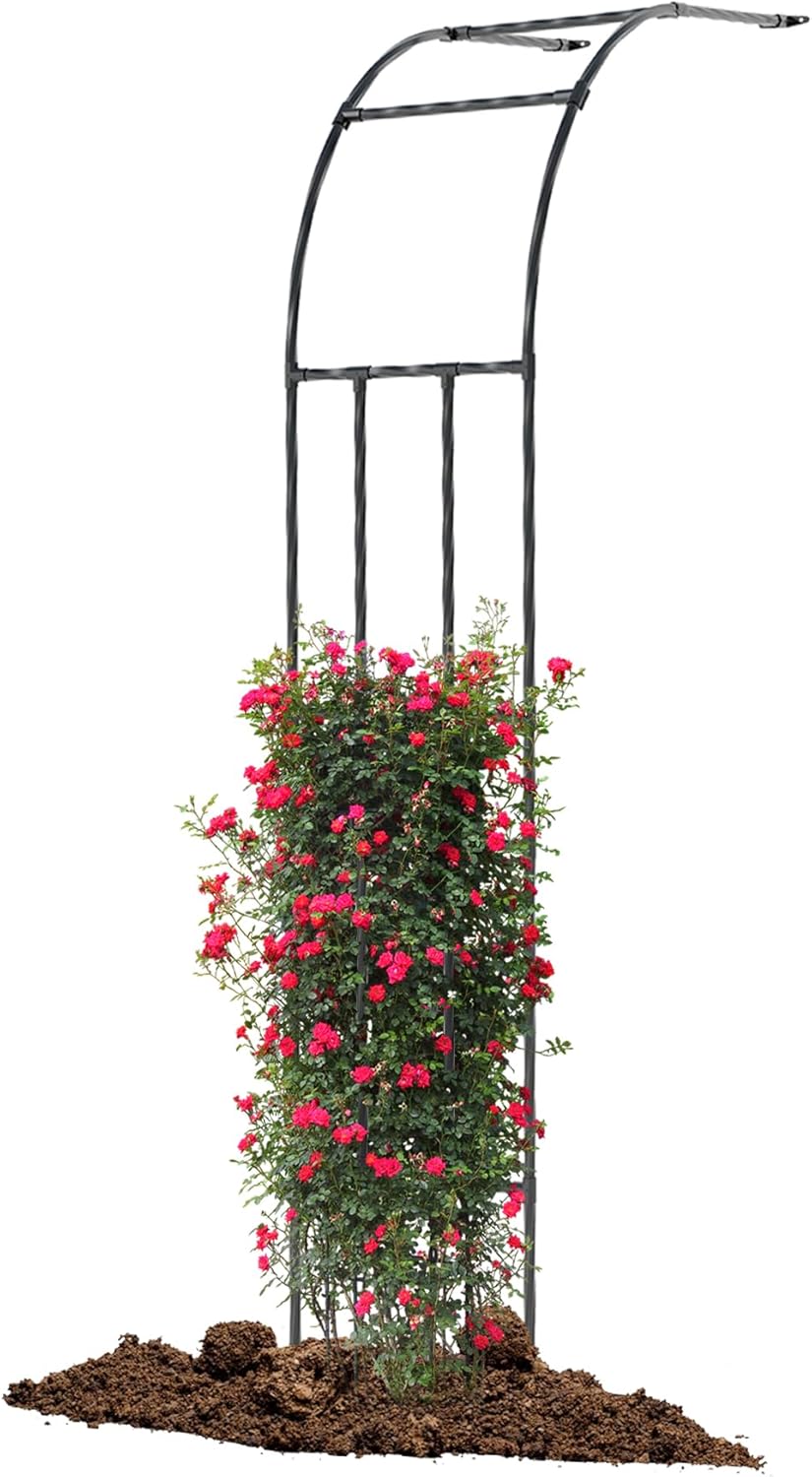 Twira Half Side Garden Arch Trellis, 7.9FT Metal Garden Arbor Trellis for Climbing Plants Outdoor, Black Half Arch Wedding, Garden Archway Arbors and Trellises Decoration for Lawn, Patio, Backyard