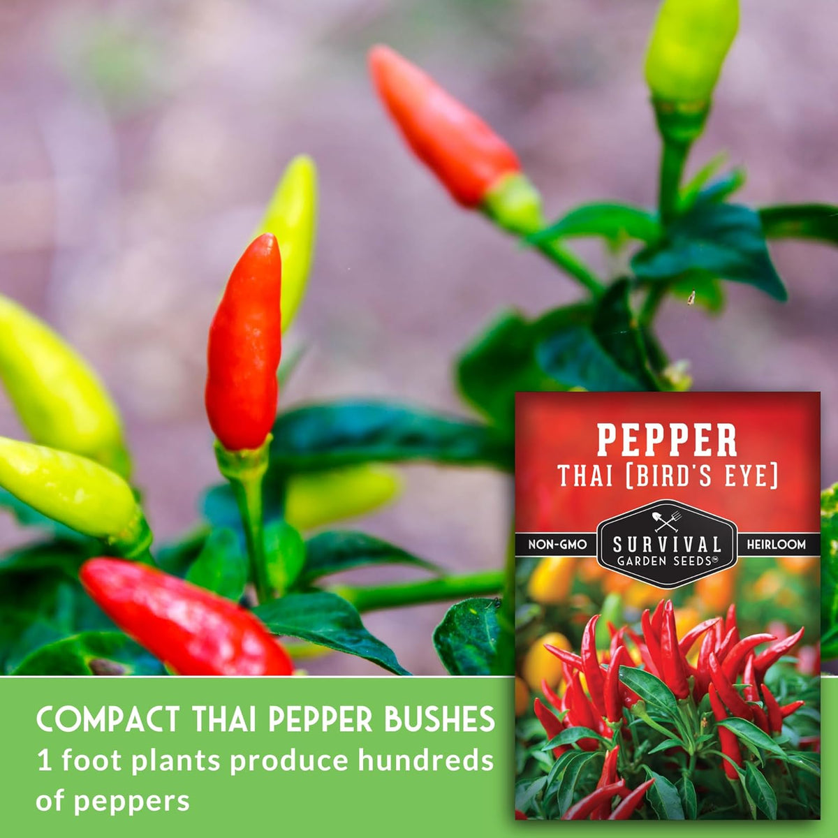 Thai Chili Pepper Seeds for Planting | Heirloom Bird’s Eye Hot Variety – Non-GMO Seeds for Spicy Cooking & Containers – Survival Garden Seeds (2 Packs)