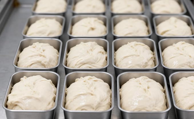 Leonyo Stainless Steel Mini Loaf Pans for Baking, 10 Pack 6.3x3.5IN Small Bread Loaf Pans for Meatloaf, Metal Mini Loaf Tins for Banana Bread Baking Homemade Brownies Smaller Loaves, Dishwasher Safe