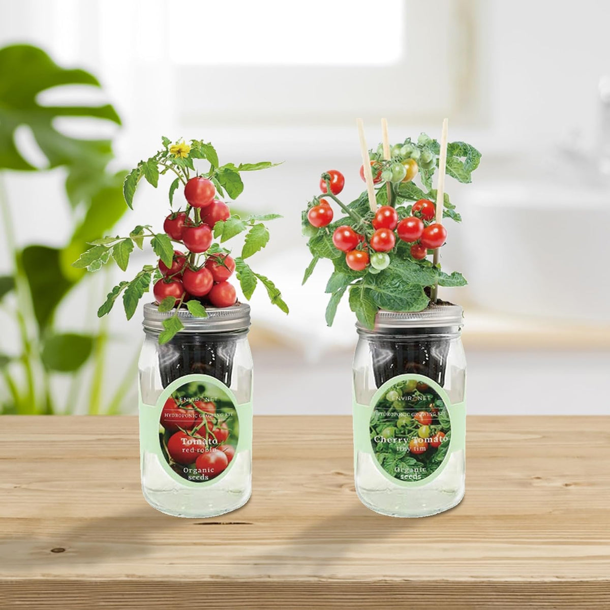 2-Pack Hydroponic Mason Jar Herb Garden Kit, Indoor Herb Garden Self-Watering Starter Kit (Cherry Tomato,Red Robin Tmato)