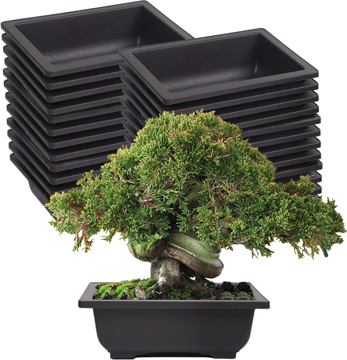KINJOEK 25 PCS 6.5 Inch Plastic Bonsai Training Pots, Rectangular Plant Bonsai Tree Pot, Starter Flower Succulent Growing Seedling Pot Container Planter for Garden Indoor Home Decorative