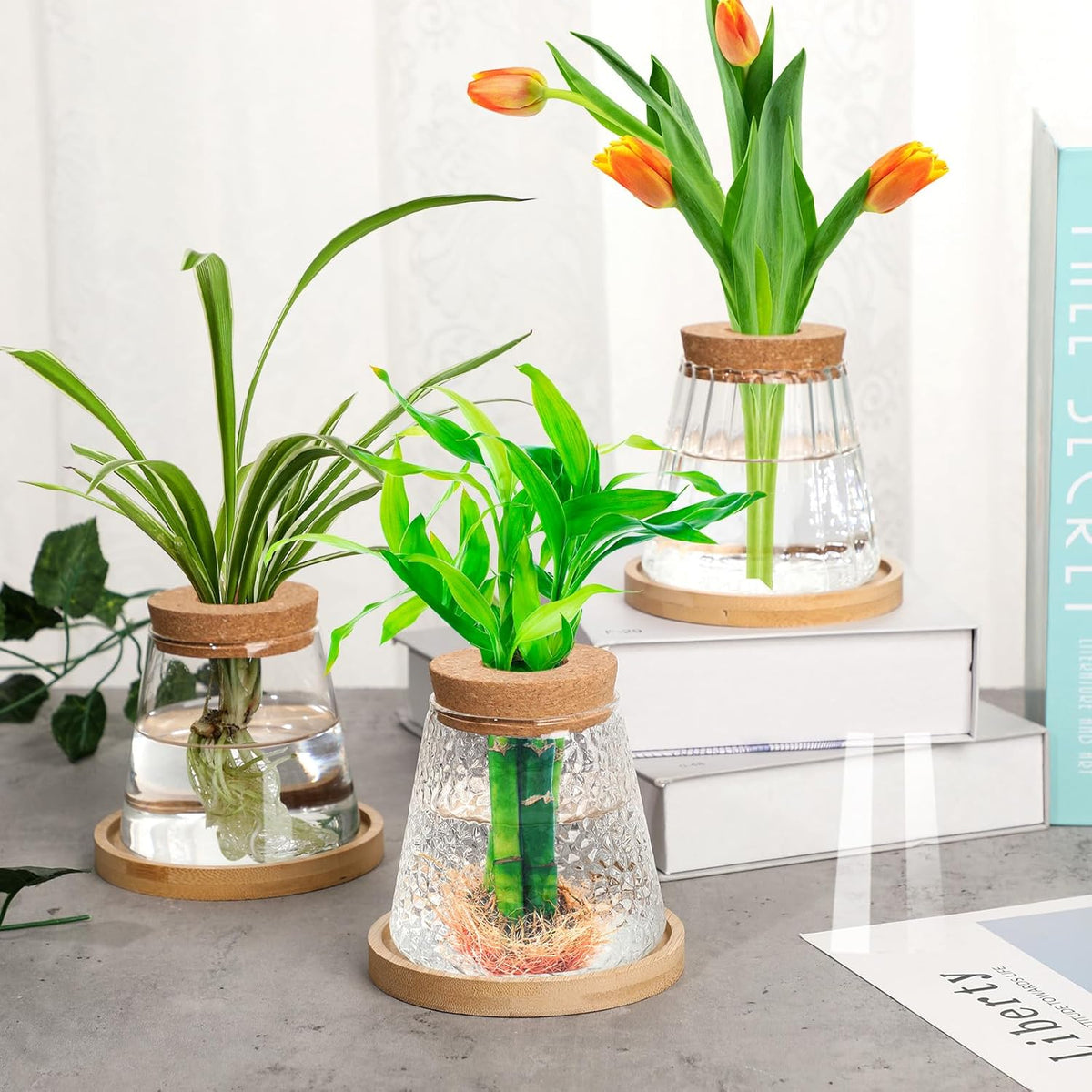 6 Pcs Plants Propagation Station Separated Desktop Plant Terrarium with Wood Lid and Stand, 3 Sizes Glass Planter Propagated Jars Propagation Vases for Indoor Home (Cute Style)